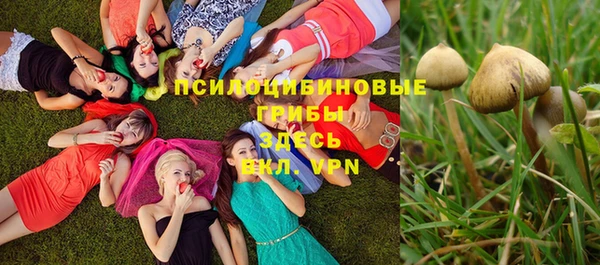 герыч Белокуриха