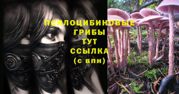 каннабис Белоозёрский