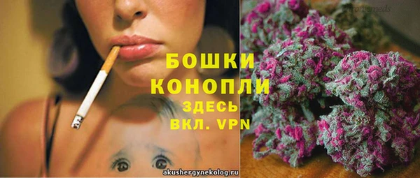 гашик Беломорск