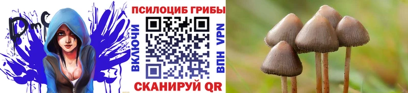 Псилоцибиновые грибы прущие грибы  Юрюзань 